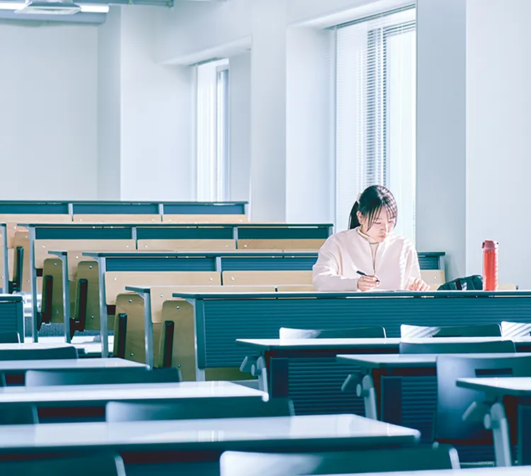 学部紹介